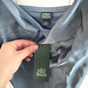 Wild Fable mini dress